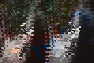 Chad Madden Btfza0m0hce Unsplash