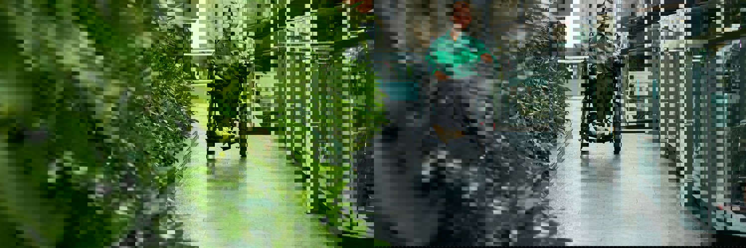 Grab Mn Nndlzgnc Unsplash