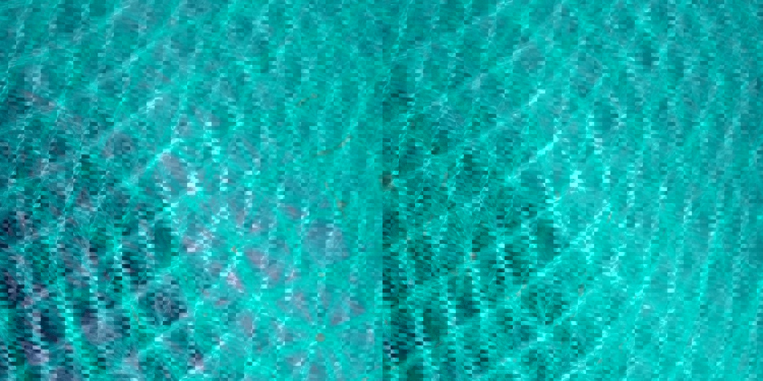 Robert Clark Ao23dua3t04 Unsplash